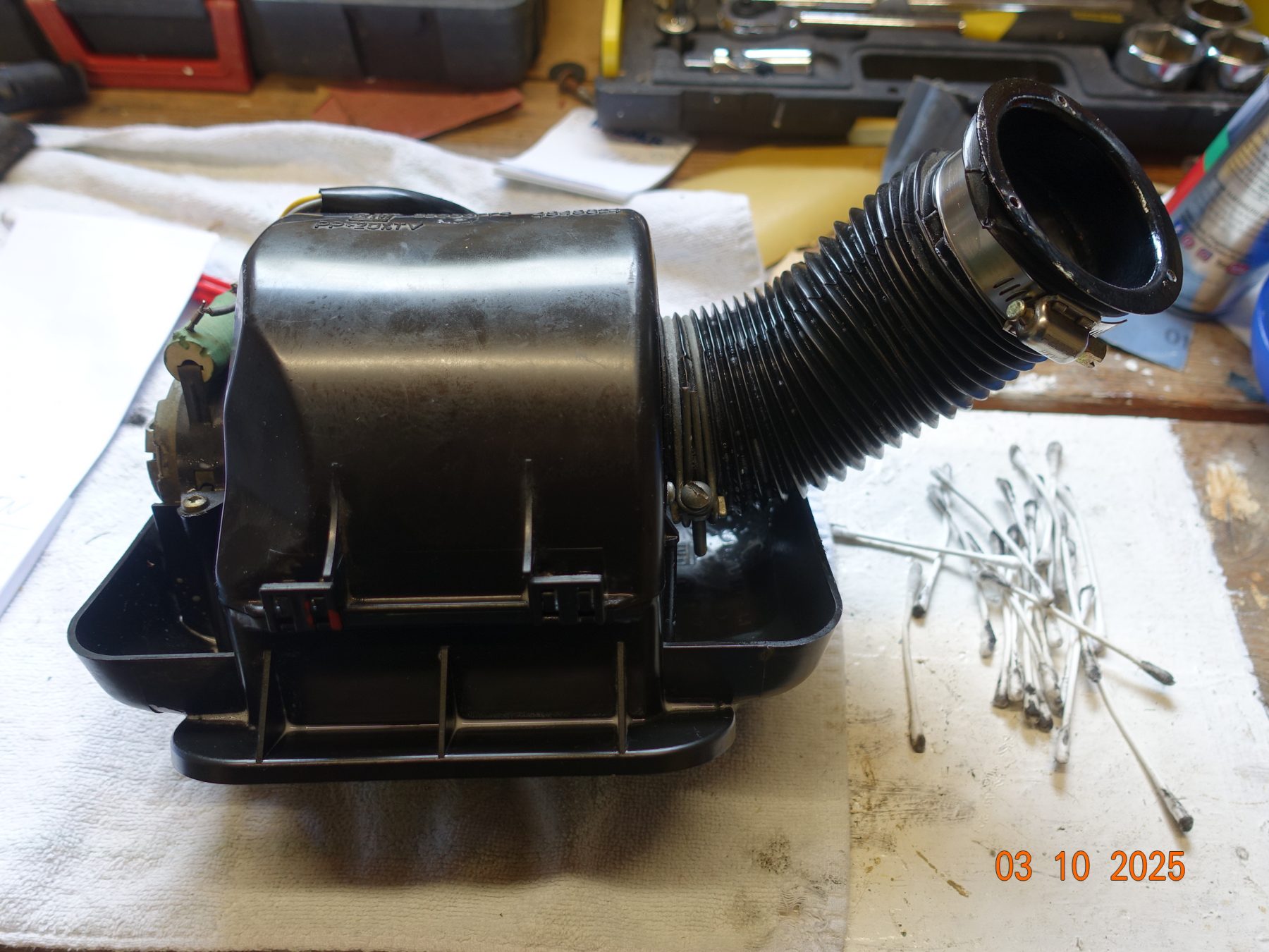 Gebläsemotor und Wärmetauscher / Blower motor and heat exchanger